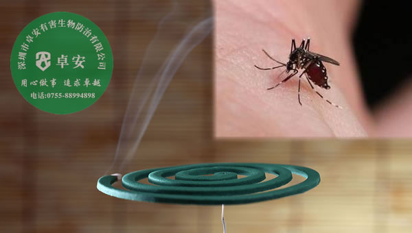 驱蚊子的七种方法－深圳卓安有害生物防治公司